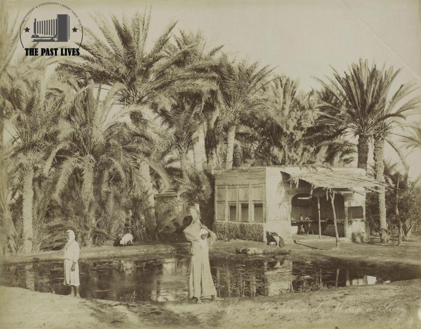 Egypt, Suez , Moses Springs, 1889