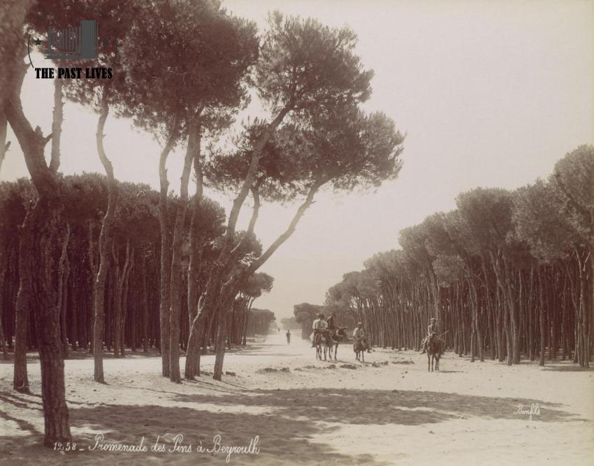 Pine Promenade in Beirut in 1890