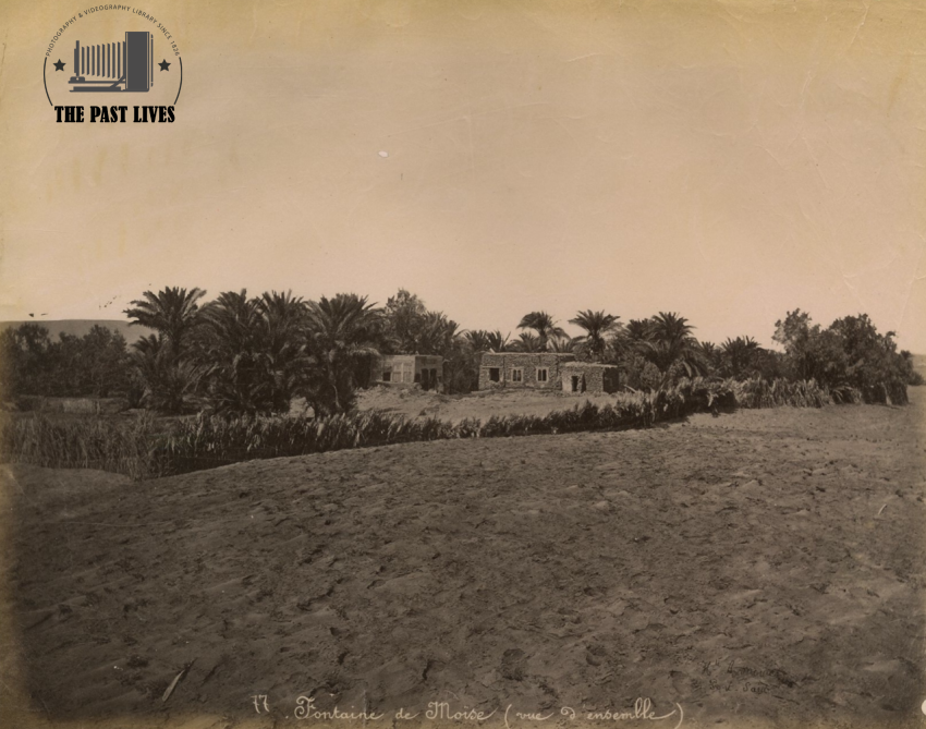 Egypt, Suez , Moses Springs, 1875