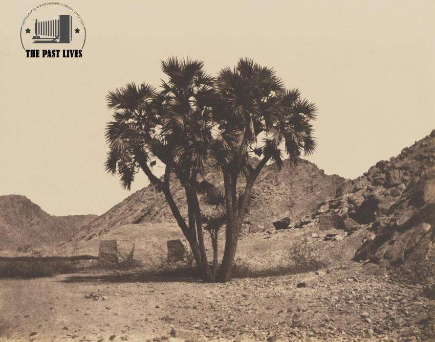 1851 Egypt, The surroundings of Fileh