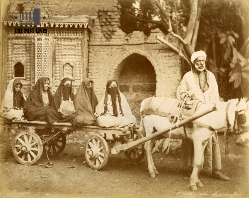 Egypt, 19th-century means of transportation, 1894
