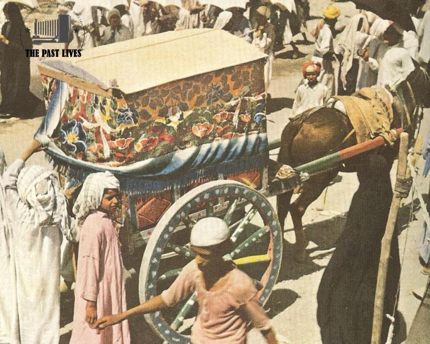Means of transportation between the holy sites - Hajj season 1953
