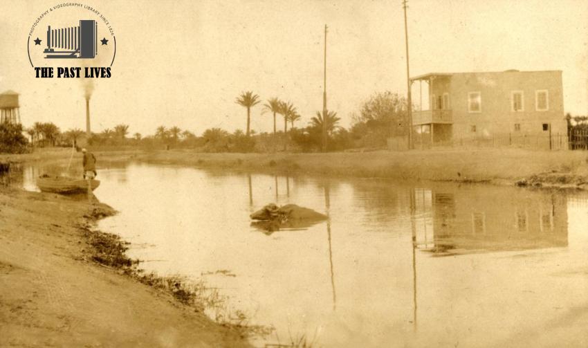 Egypt, Mit Ghamr - Dakahlia, 1917