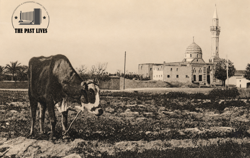 1903 Egypt, Sidi Gaber Mosque in Alexandria