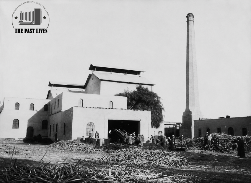 1900 Egypt, Sugar Factory in Banha