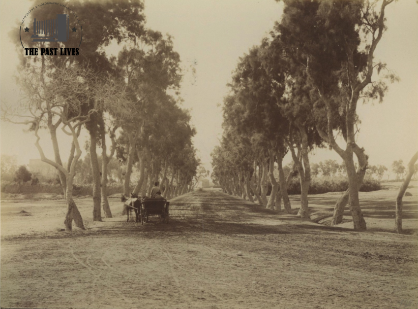 Alexandria Wabour El-Mayah ( Dr. Ahmed Zewail ) 1880 Ad