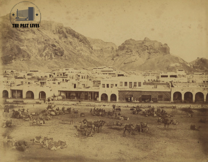 camel market Aden 1870