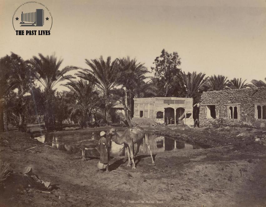 Egypt, Suez , Moses Springs, 1869
