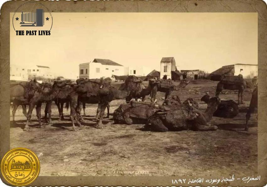 Tangier and the Return of the Caravan 1892