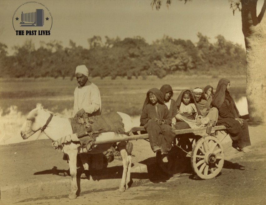 Egypt, Women's Chariot, Cairo , 1880