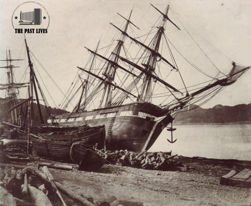1855 David Johnson — Barque *Jane Tudor* at Conway Bay