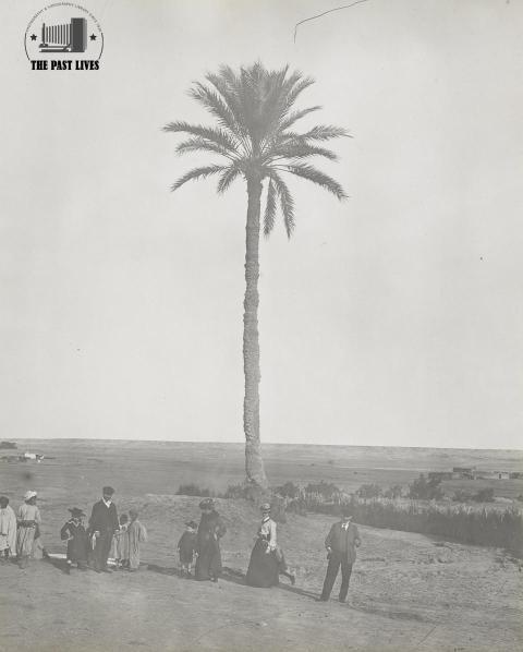 Egypt, Suez , Moses Springs, 1910