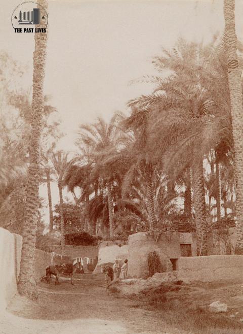 1885 Egypt, Al-Tawila Village - Faqous - Sharqia