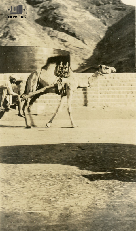 Yemen, a means of transportation in Aden, 1920 AD